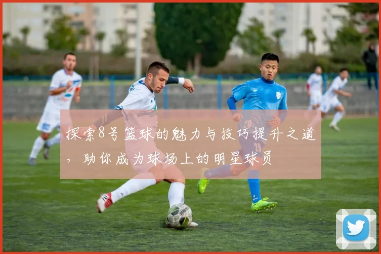 探索8号篮球的魅力与技巧提升之道，助你成为球场上的明星球员