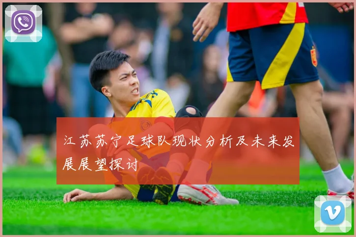 江苏苏宁足球队现状分析及未来发展展望探讨